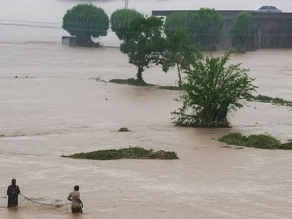 flood