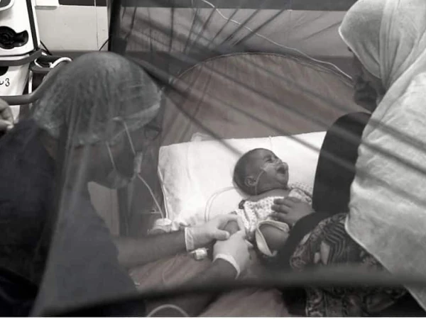 malaria-case1745565312-0-600x450