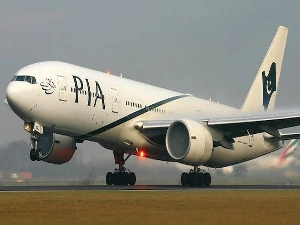 pia1782739069-0-600x450